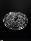 FN14720_STELLA-FRESNEL