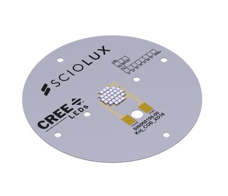KOJ-LE-XXXX-XXX-42